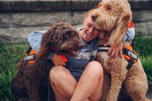 Service Dog Training Fredericksburg Va My Caring Dog – Tips, Stories, and Care Guides for Loving Pet Owners Service Dog Training Fredericksburg Va | My Caring Dog – Tips, Stories, and Care Guides for Loving Pet Owners