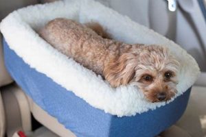 Best AKC Car Seat Covers For Dogs: Top Picks My Caring Dog – Tips, Stories, and Care Guides for Loving Pet Owners Best AKC Car Seat Covers For Dogs: Top Picks | My Caring Dog – Tips, Stories, and Care Guides for Loving Pet Owners