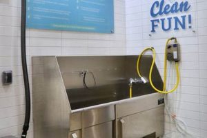 Best Self Care Dog Wash Near Me: Find Yours My Caring Dog – Tips, Stories, and Care Guides for Loving Pet Owners Best Self Care Dog Wash Near Me: Find Yours | My Caring Dog – Tips, Stories, and Care Guides for Loving Pet Owners