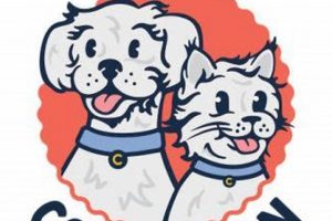 Best Camp Companion Photos: Capturing Memories My Caring Dog – Tips, Stories, and Care Guides for Loving Pet Owners Best Camp Companion Photos: Capturing Memories | My Caring Dog – Tips, Stories, and Care Guides for Loving Pet Owners