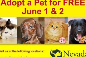Find Car-Friendly Puppy Events Near Me Today! My Caring Dog – Tips, Stories, and Care Guides for Loving Pet Owners Find Car-Friendly Puppy Events Near Me Today! | My Caring Dog – Tips, Stories, and Care Guides for Loving Pet Owners