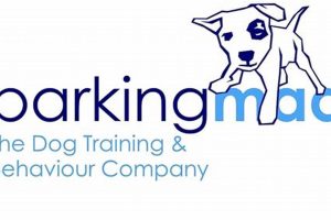 Top Dog Training Organisations: Find the Best My Caring Dog – Tips, Stories, and Care Guides for Loving Pet Owners Top Dog Training Organisations: Find the Best | My Caring Dog – Tips, Stories, and Care Guides for Loving Pet Owners