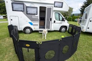 Best Dog Fences for Cars: Safe Travel Barriers My Caring Dog – Tips, Stories, and Care Guides for Loving Pet Owners Best Dog Fences for Cars: Safe Travel Barriers | My Caring Dog – Tips, Stories, and Care Guides for Loving Pet Owners