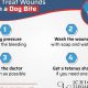 Dog Bite Wound Care Guide: First Aid & Healing | My Caring Dog – Tips, Stories, and Care Guides for Loving Pet Owners
