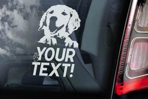 Cool Dog Stickers & Decals for Car Windows My Caring Dog – Tips, Stories, and Care Guides for Loving Pet Owners Cool Dog Stickers & Decals for Car Windows | My Caring Dog – Tips, Stories, and Care Guides for Loving Pet Owners