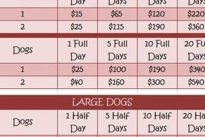 Dog Day Care Prices Uk My Caring Dog – Tips, Stories, and Care Guides for Loving Pet Owners Dog Day Care Prices Uk | My Caring Dog – Tips, Stories, and Care Guides for Loving Pet Owners