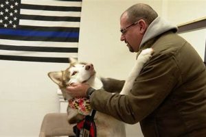 American Service Animals: A Guide My Caring Dog – Tips, Stories, and Care Guides for Loving Pet Owners American Service Animals: A Guide | My Caring Dog – Tips, Stories, and Care Guides for Loving Pet Owners