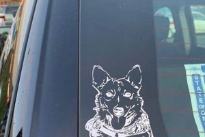 Cool Dog Decals & Stickers For Your Car My Caring Dog – Tips, Stories, and Care Guides for Loving Pet Owners Cool Dog Decals & Stickers For Your Car | My Caring Dog – Tips, Stories, and Care Guides for Loving Pet Owners