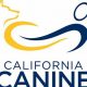 Best Car Dog Accessories for California Canines | My Caring Dog – Tips, Stories, and Care Guides for Loving Pet Owners