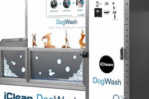 Best Car & Dog Wash in Colorado Springs My Caring Dog – Tips, Stories, and Care Guides for Loving Pet Owners Best Car & Dog Wash in Colorado Springs | My Caring Dog – Tips, Stories, and Care Guides for Loving Pet Owners
