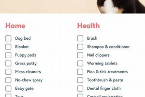 Ultimate New Dog Owner Checklist & Guide My Caring Dog – Tips, Stories, and Care Guides for Loving Pet Owners Ultimate New Dog Owner Checklist & Guide | My Caring Dog – Tips, Stories, and Care Guides for Loving Pet Owners