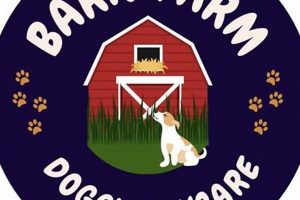 Best Dog Day Care Derby: Fun & Safe My Caring Dog – Tips, Stories, and Care Guides for Loving Pet Owners Best Dog Day Care Derby: Fun & Safe | My Caring Dog – Tips, Stories, and Care Guides for Loving Pet Owners