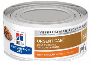 Best Hill's Critical Care Dog Food Guide My Caring Dog – Tips, Stories, and Care Guides for Loving Pet Owners Best Hill's Critical Care Dog Food Guide | My Caring Dog – Tips, Stories, and Care Guides for Loving Pet Owners