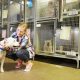 Animal Shelter Care | My Caring Dog – Tips, Stories, and Care Guides for Loving Pet Owners