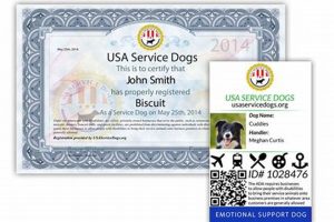 Certify Support Dog My Caring Dog – Tips, Stories, and Care Guides for Loving Pet Owners Certify Support Dog | My Caring Dog – Tips, Stories, and Care Guides for Loving Pet Owners
