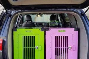 Best Large Car Dog Crates for Safe Travel My Caring Dog – Tips, Stories, and Care Guides for Loving Pet Owners Best Large Car Dog Crates for Safe Travel | My Caring Dog – Tips, Stories, and Care Guides for Loving Pet Owners