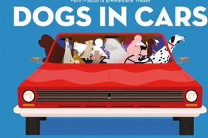 Book Dogs In Cars My Caring Dog – Tips, Stories, and Care Guides for Loving Pet Owners Book Dogs In Cars | My Caring Dog – Tips, Stories, and Care Guides for Loving Pet Owners