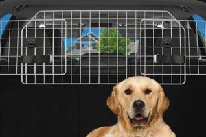 Best Jumbl Pets Heavy-Duty Dog Barrier for Cars & SUVs My Caring Dog – Tips, Stories, and Care Guides for Loving Pet Owners Best Jumbl Pets Heavy-Duty Dog Barrier for Cars & SUVs | My Caring Dog – Tips, Stories, and Care Guides for Loving Pet Owners