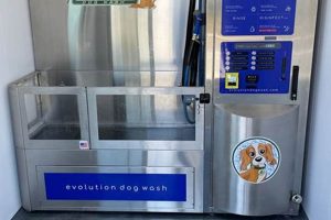 Best Self Service Dog Wash Car Wash Near You My Caring Dog – Tips, Stories, and Care Guides for Loving Pet Owners Best Self Service Dog Wash Car Wash Near You | My Caring Dog – Tips, Stories, and Care Guides for Loving Pet Owners