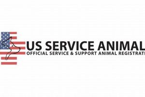 Is USServiceAnimals.org Legit? A Review My Caring Dog – Tips, Stories, and Care Guides for Loving Pet Owners Is USServiceAnimals.org Legit? A Review | My Caring Dog – Tips, Stories, and Care Guides for Loving Pet Owners