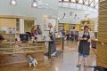 Best Chicago Adoption Centers: Find Your Furry Friend My Caring Dog – Tips, Stories, and Care Guides for Loving Pet Owners Best Chicago Adoption Centers: Find Your Furry Friend | My Caring Dog – Tips, Stories, and Care Guides for Loving Pet Owners