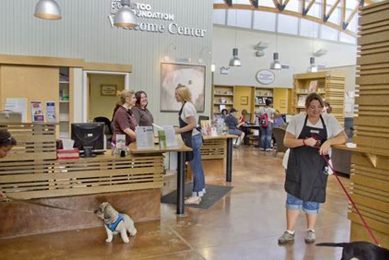 Best Chicago Adoption Centers: Find Your Furry Friend My Caring Dog – Tips, Stories, and Care Guides for Loving Pet Owners Best Chicago Adoption Centers: Find Your Furry Friend | My Caring Dog – Tips, Stories, and Care Guides for Loving Pet Owners