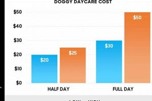 Daily Dog Care Costs: Budgeting & Saving Tips My Caring Dog – Tips, Stories, and Care Guides for Loving Pet Owners Daily Dog Care Costs: Budgeting & Saving Tips | My Caring Dog – Tips, Stories, and Care Guides for Loving Pet Owners