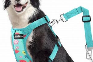 Top Dog Car Safety Harness Reviews & Guide My Caring Dog – Tips, Stories, and Care Guides for Loving Pet Owners Top Dog Car Safety Harness Reviews & Guide | My Caring Dog – Tips, Stories, and Care Guides for Loving Pet Owners
