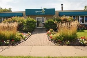 Dog Day Care Oak Lawn Il My Caring Dog – Tips, Stories, and Care Guides for Loving Pet Owners Dog Day Care Oak Lawn Il | My Caring Dog – Tips, Stories, and Care Guides for Loving Pet Owners