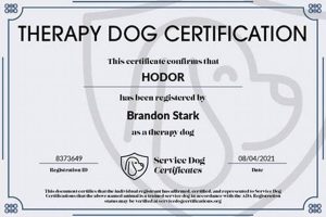 Get Free Online Therapy Dog Certification Now! My Caring Dog – Tips, Stories, and Care Guides for Loving Pet Owners Get Free Online Therapy Dog Certification Now! | My Caring Dog – Tips, Stories, and Care Guides for Loving Pet Owners