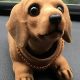 Cute Dog Bobbleheads for Car Lovers | My Caring Dog – Tips, Stories, and Care Guides for Loving Pet Owners