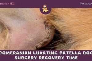 Dog Luxating Patella Surgery: Post-Op Care Guide My Caring Dog – Tips, Stories, and Care Guides for Loving Pet Owners Dog Luxating Patella Surgery: Post-Op Care Guide | My Caring Dog – Tips, Stories, and Care Guides for Loving Pet Owners