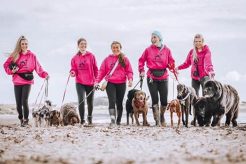 Dog Day Care St Helens My Caring Dog – Tips, Stories, and Care Guides for Loving Pet Owners Dog Day Care St Helens | My Caring Dog – Tips, Stories, and Care Guides for Loving Pet Owners