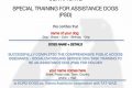 Car Dog PSD Certification: A Guide My Caring Dog – Tips, Stories, and Care Guides for Loving Pet Owners Car Dog PSD Certification: A Guide | My Caring Dog – Tips, Stories, and Care Guides for Loving Pet Owners