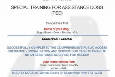 Car Dog PSD Certification: A Guide My Caring Dog – Tips, Stories, and Care Guides for Loving Pet Owners Car Dog PSD Certification: A Guide | My Caring Dog – Tips, Stories, and Care Guides for Loving Pet Owners