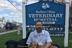 Best Dog Day Care in Marlboro, NJ: Top Picks My Caring Dog – Tips, Stories, and Care Guides for Loving Pet Owners Best Dog Day Care in Marlboro, NJ: Top Picks | My Caring Dog – Tips, Stories, and Care Guides for Loving Pet Owners