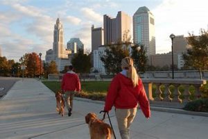 Best Service Dogs in Columbus, Ohio: Your Guide My Caring Dog – Tips, Stories, and Care Guides for Loving Pet Owners Best Service Dogs in Columbus, Ohio: Your Guide | My Caring Dog – Tips, Stories, and Care Guides for Loving Pet Owners