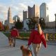 Best Service Dogs in Columbus, Ohio: Your Guide | My Caring Dog – Tips, Stories, and Care Guides for Loving Pet Owners