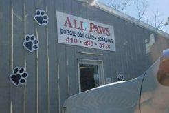 Dog Day Care Ocean City Md My Caring Dog – Tips, Stories, and Care Guides for Loving Pet Owners Dog Day Care Ocean City Md | My Caring Dog – Tips, Stories, and Care Guides for Loving Pet Owners