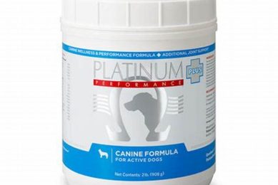 The Ultimate Platinum Canine Car Dog Guide My Caring Dog – Tips, Stories, and Care Guides for Loving Pet Owners The Ultimate Platinum Canine Car Dog Guide | My Caring Dog – Tips, Stories, and Care Guides for Loving Pet Owners