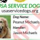 Best USA Service Dog Training & Certification | My Caring Dog – Tips, Stories, and Care Guides for Loving Pet Owners