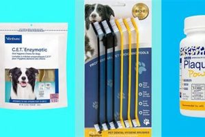 Top 5 Best Dog Dental Care Products for a Healthier Smile My Caring Dog – Tips, Stories, and Care Guides for Loving Pet Owners Top 5 Best Dog Dental Care Products for a Healthier Smile | My Caring Dog – Tips, Stories, and Care Guides for Loving Pet Owners