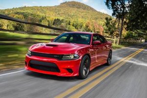 Top Doger Car Reviews & Info My Caring Dog – Tips, Stories, and Care Guides for Loving Pet Owners Top Doger Car Reviews & Info | My Caring Dog – Tips, Stories, and Care Guides for Loving Pet Owners