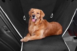 Best Dog Car Seat Cover Half for Pet & Passenger My Caring Dog – Tips, Stories, and Care Guides for Loving Pet Owners Best Dog Car Seat Cover Half for Pet & Passenger | My Caring Dog – Tips, Stories, and Care Guides for Loving Pet Owners