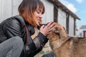 Pro Dog Caregiver Guide: Names & Roles My Caring Dog – Tips, Stories, and Care Guides for Loving Pet Owners Pro Dog Caregiver Guide: Names & Roles | My Caring Dog – Tips, Stories, and Care Guides for Loving Pet Owners