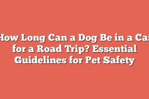 How Long Can A Dog Stay In A Car My Caring Dog – Tips, Stories, and Care Guides for Loving Pet Owners How Long Can A Dog Stay In A Car | My Caring Dog – Tips, Stories, and Care Guides for Loving Pet Owners