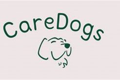 The Ultimate Guide to Happy Days Dog Care My Caring Dog – Tips, Stories, and Care Guides for Loving Pet Owners The Ultimate Guide to Happy Days Dog Care | My Caring Dog – Tips, Stories, and Care Guides for Loving Pet Owners