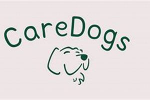 The Ultimate Guide to Happy Days Dog Care My Caring Dog – Tips, Stories, and Care Guides for Loving Pet Owners The Ultimate Guide to Happy Days Dog Care | My Caring Dog – Tips, Stories, and Care Guides for Loving Pet Owners