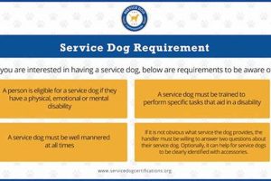 Your Dog as a Service Animal: A Guide My Caring Dog – Tips, Stories, and Care Guides for Loving Pet Owners Your Dog as a Service Animal: A Guide | My Caring Dog – Tips, Stories, and Care Guides for Loving Pet Owners