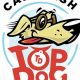 Top Dog Car Wash Orlando | My Caring Dog – Tips, Stories, and Care Guides for Loving Pet Owners